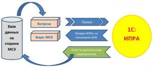 Ввод в промышленную эксплуатацию системы «1С: ИПРА»